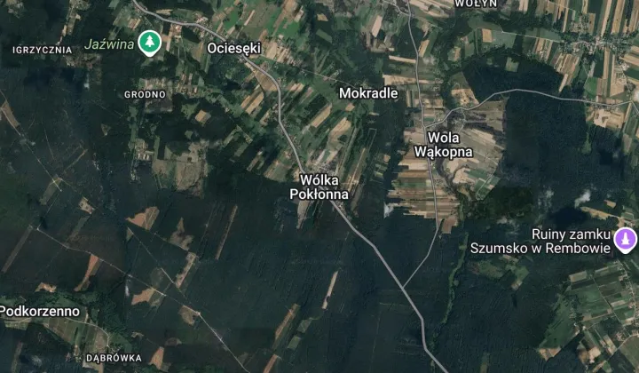 Działka leśna Wólka Pokłonna