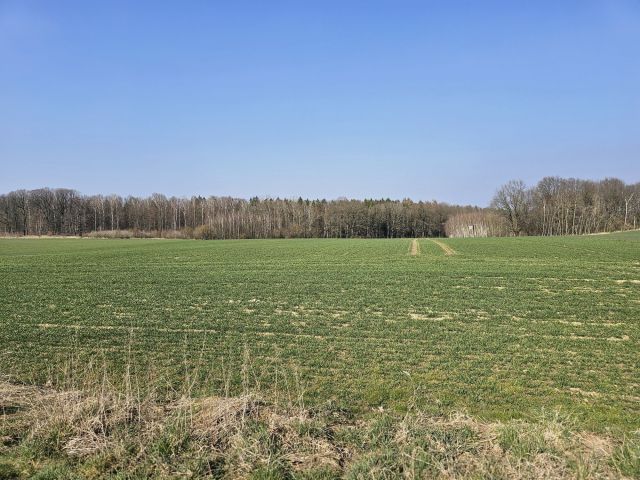 Działka rolna Nowe Jaroszowice. Zdjęcie 1