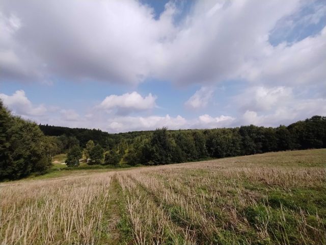 Działka rolna Polany. Zdjęcie 1