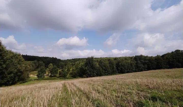 Działka rolna Polany