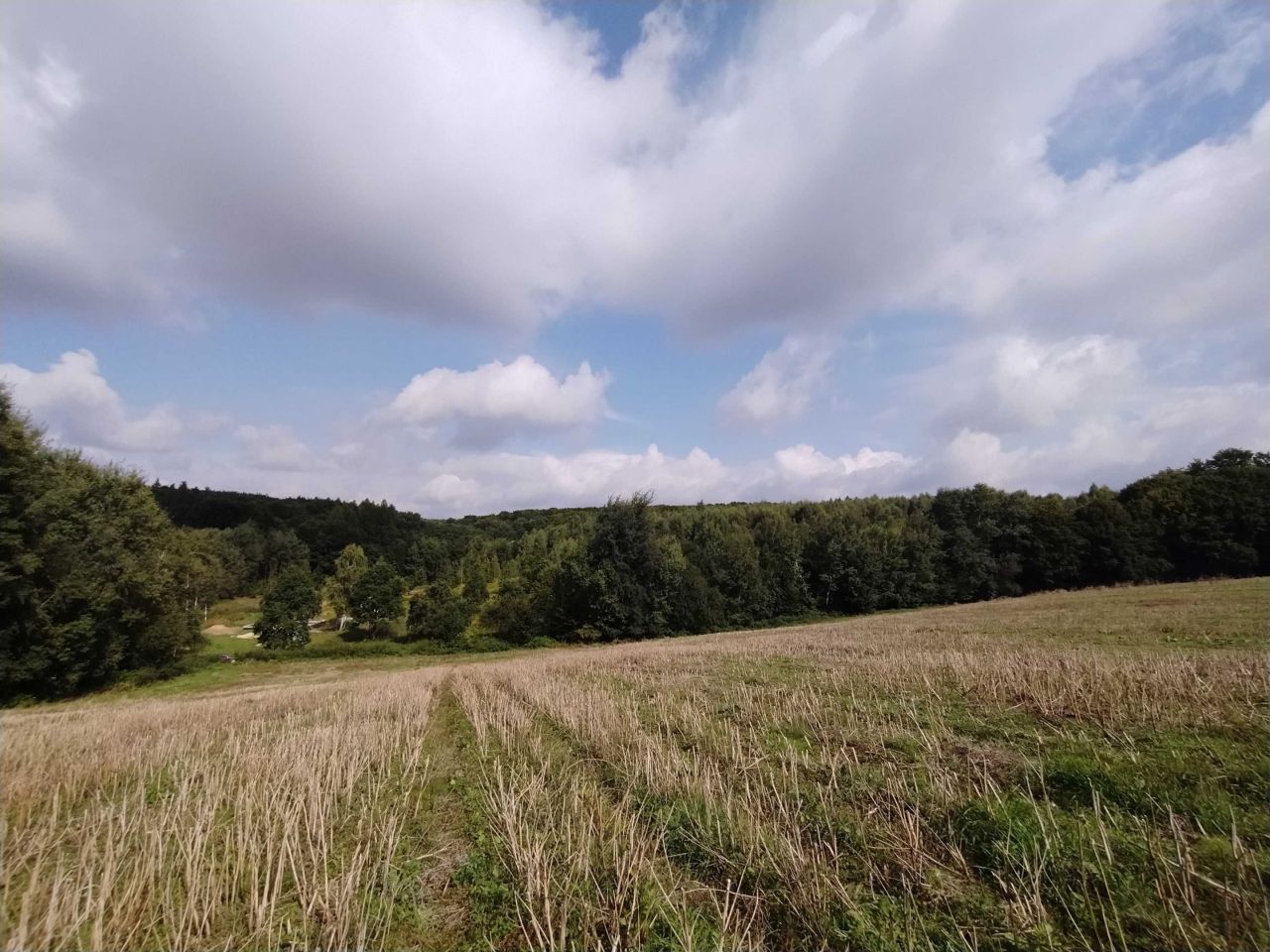 Działka rolna Polany