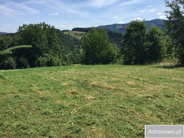 Działka budowlana Młynne. Zdjęcie 2