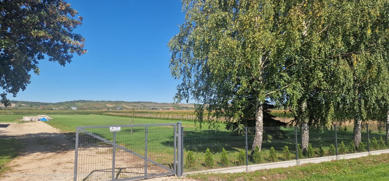 Działka budowlana Owczary, ul. Pęczelicka. Zdjęcie 5