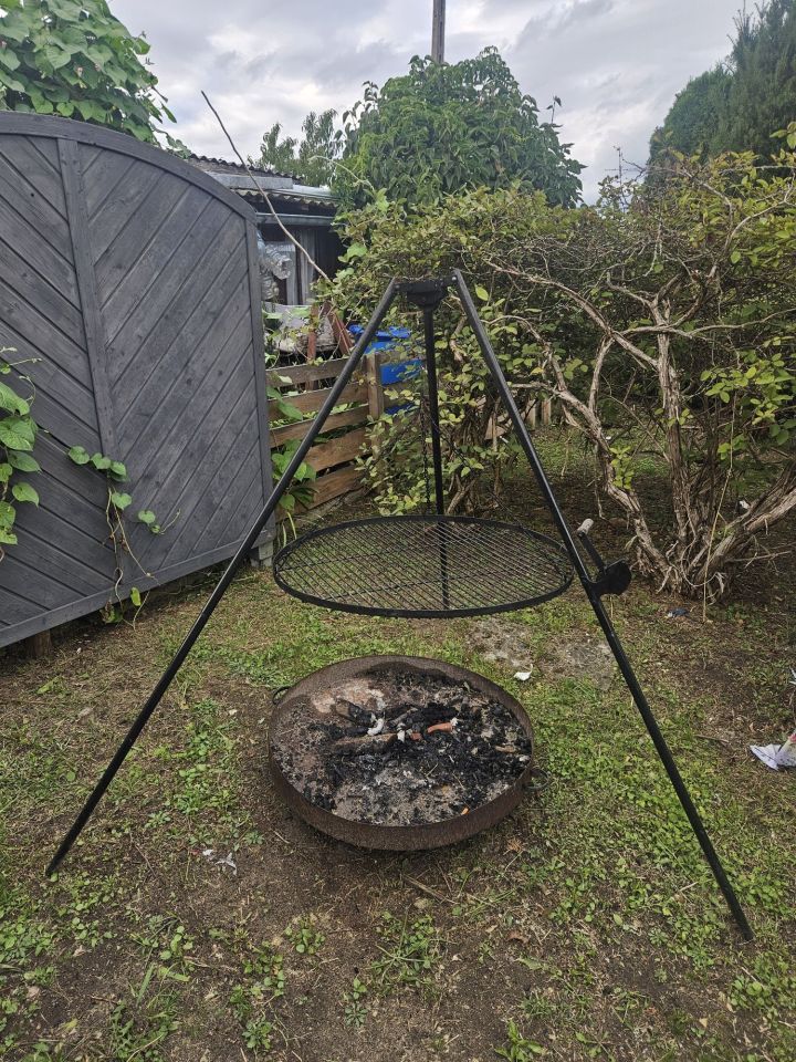 Działka rod Międzychód. Zdjęcie 2