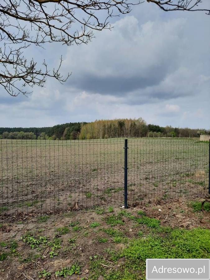 gospodarstwo Husynne. Zdjęcie 8