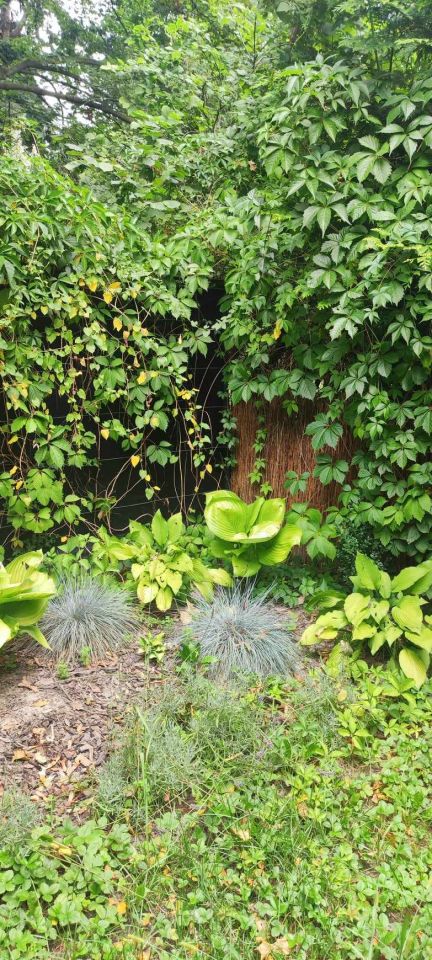 Działka rod Warszawa Mokotów, ul. Racławicka. Zdjęcie 18