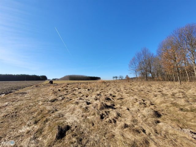 siedlisko, 2 pokoje Trzciniec. Zdjęcie 4