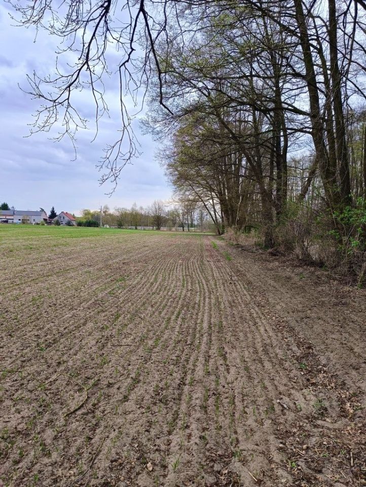 Działka budowlana Mierzyn. Zdjęcie 5