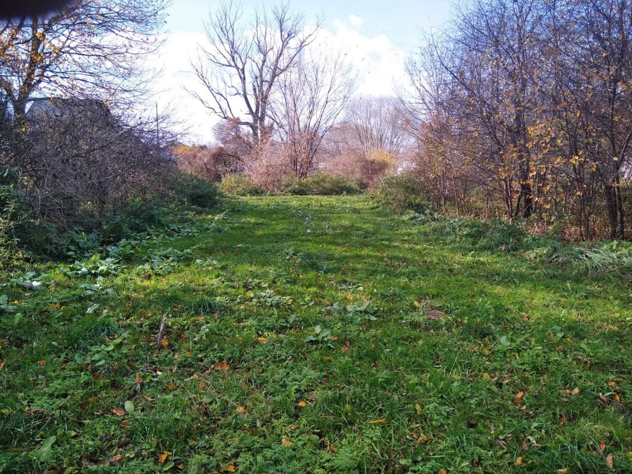 Działka siedliskowa Gąsówka-Oleksin. Zdjęcie 3