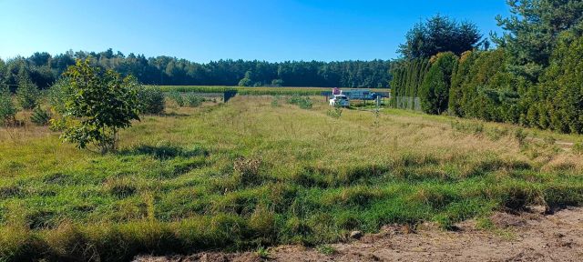 Działka rolno-budowlana Wodzin Majoracki. Zdjęcie 1