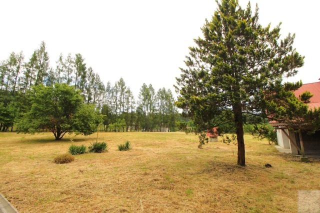 dom wolnostojący, 10 pokoi Łętownia. Zdjęcie 31