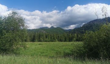 Działka rolna Kościelisko