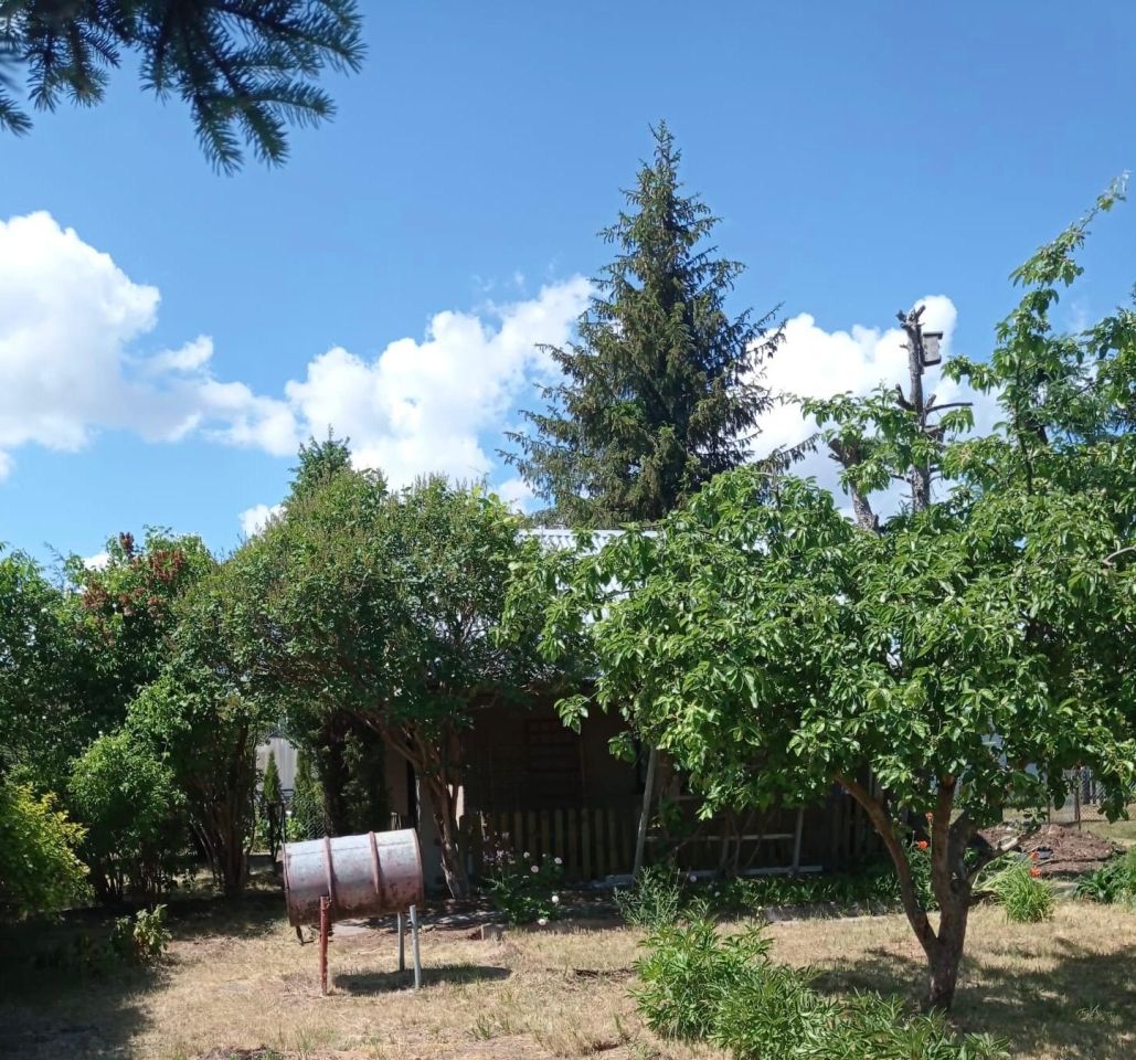 Działka rod Ełk, ul. Suwalska. Zdjęcie 7