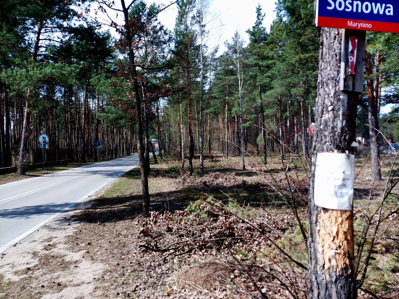 Działka budowlana Marynino, Sosnowa. Zdjęcie 35