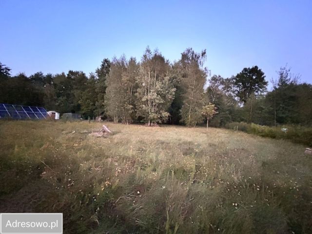 Działka Henryków-Urocze. Zdjęcie 1