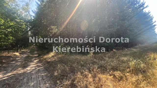 Działka rolna Wale. Zdjęcie 7