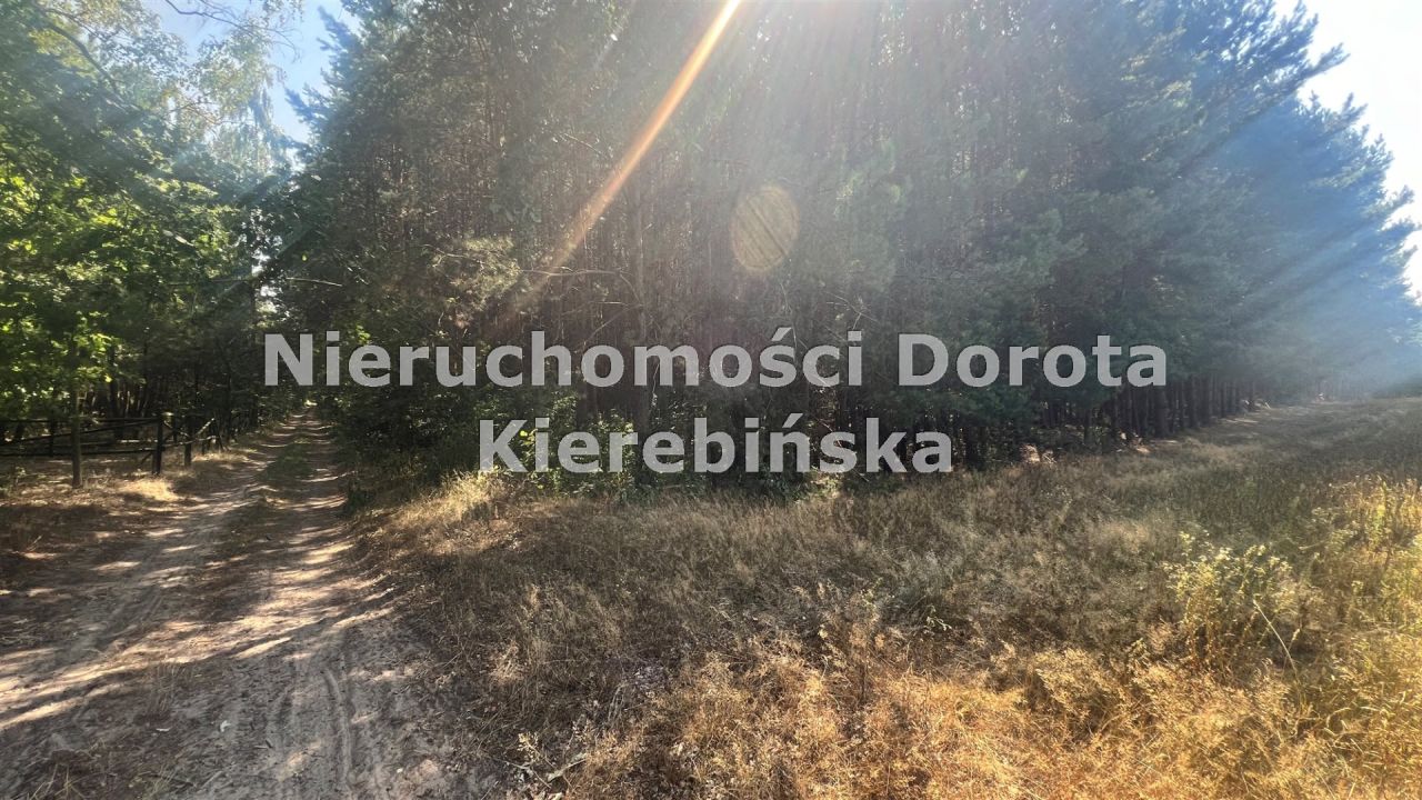 Działka rolna Wale. Zdjęcie 7