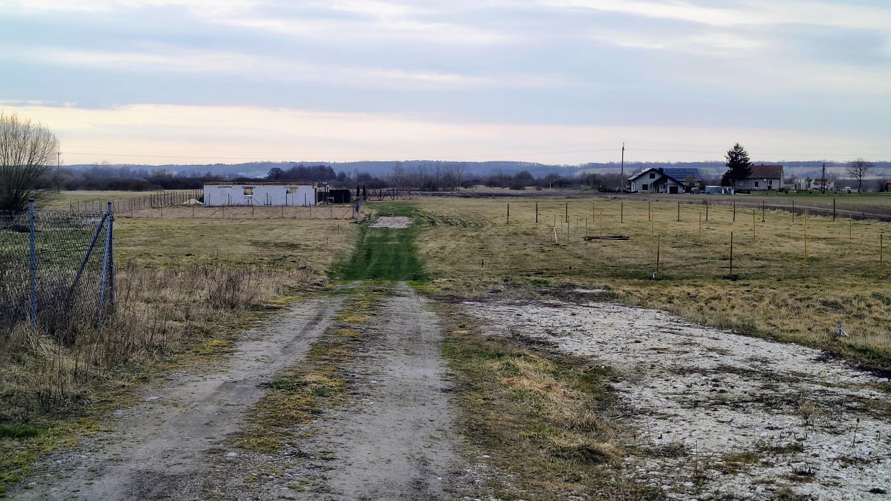 Działka budowlana Polichno. Zdjęcie 2