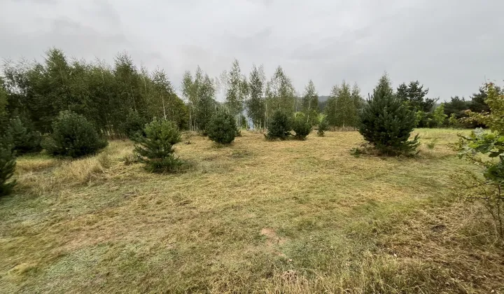 Działka budowlana Zielonczyn, ul. Zielona