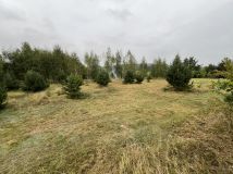 Działka budowlana Zielonczyn, ul. Zielona