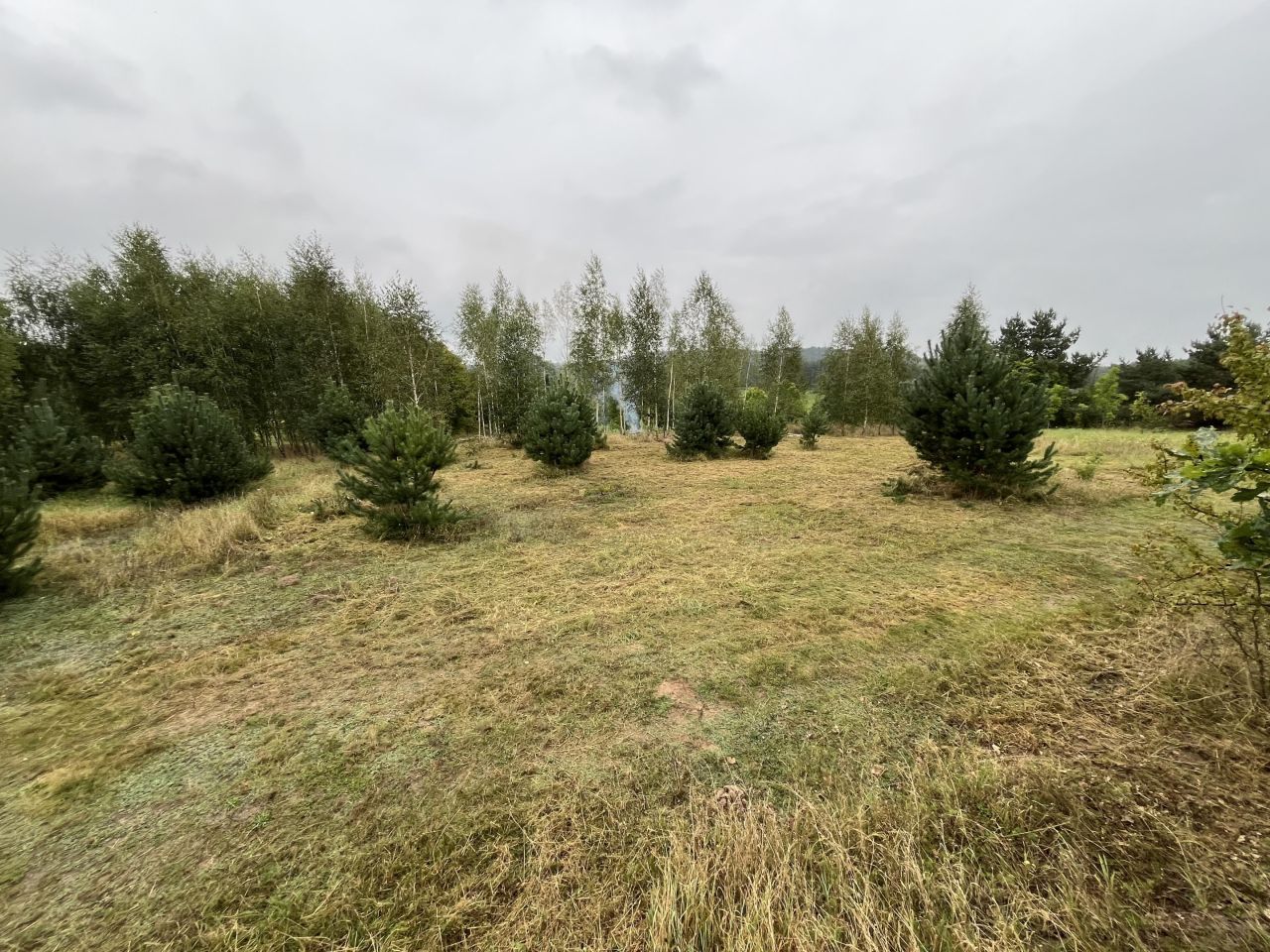 Działka budowlana Zielonczyn, ul. Zielona