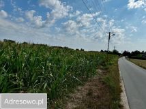 Działka rolno-budowlana Dzięglewo. Zdjęcie 4