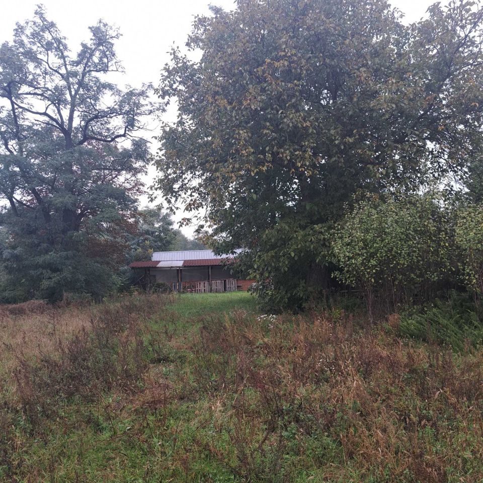 Działka rolno-budowlana Szczawin. Zdjęcie 7