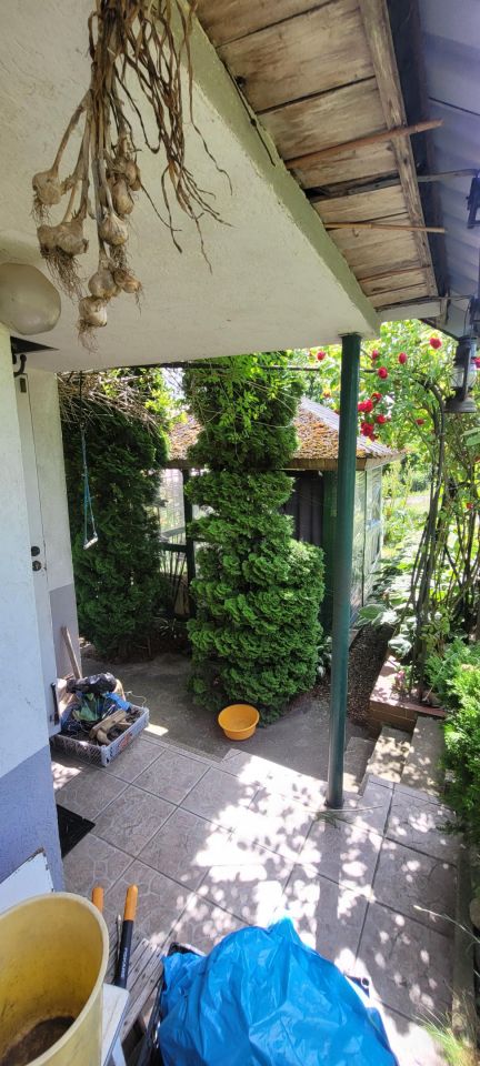 Działka rod Kołobrzeg, ul. Janiska. Zdjęcie 6