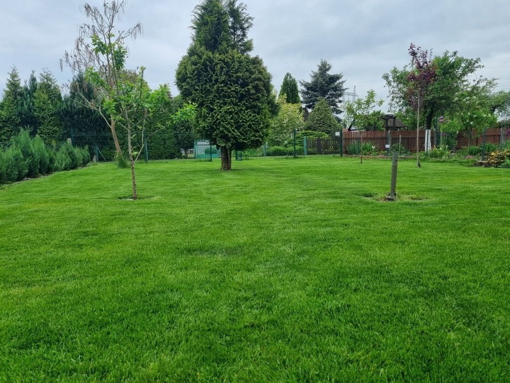 Działka rod Szczecin Krzekowo. Zdjęcie 3