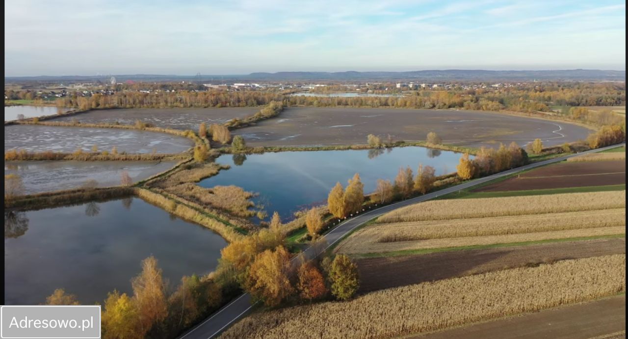 Działka budowlana Rudze. Zdjęcie 6