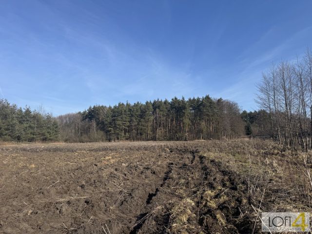 Działka rolno-budowlana Smyków. Zdjęcie 8