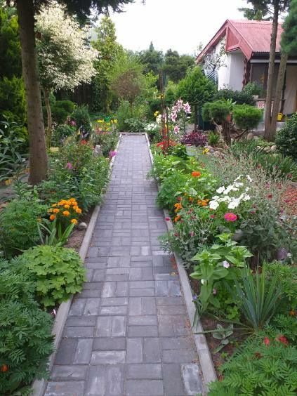 Działka rod Bydgoszcz Szwederowo. Zdjęcie 4