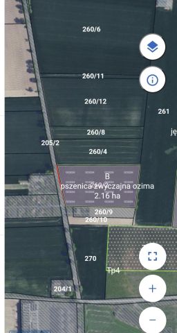 Działka rolna Łojewo. Zdjęcie 1