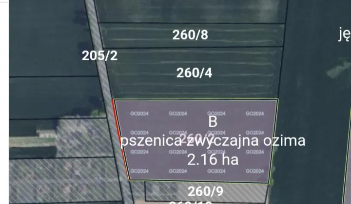 Działka rolna Łojewo