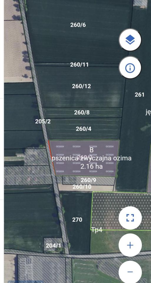 Działka rolna Łojewo. Zdjęcie 1