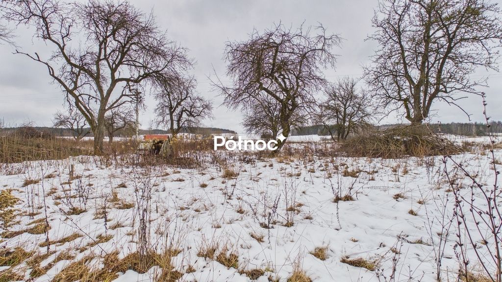 dom wolnostojący, 2 pokoje Zalesie. Zdjęcie 11