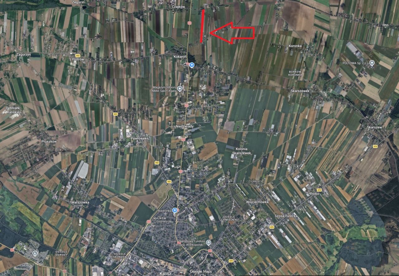Działka rolna Kolonia Kokanin. Zdjęcie 2