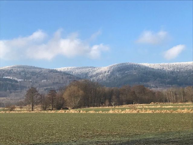 Działka budowlana Stara Łomnica. Zdjęcie 1
