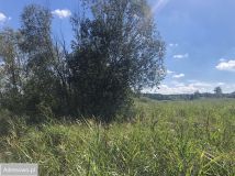 Działka budowlana Biłgoraj, ul. Lazurowa. Zdjęcie 3