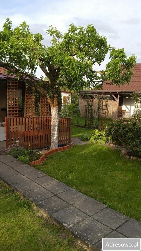 Działka rod Gorzów Wielkopolski, ul. Myśliborska. Zdjęcie 1