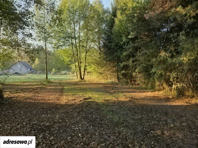 Działka rekreacyjna Borowy Młyn. Zdjęcie 1