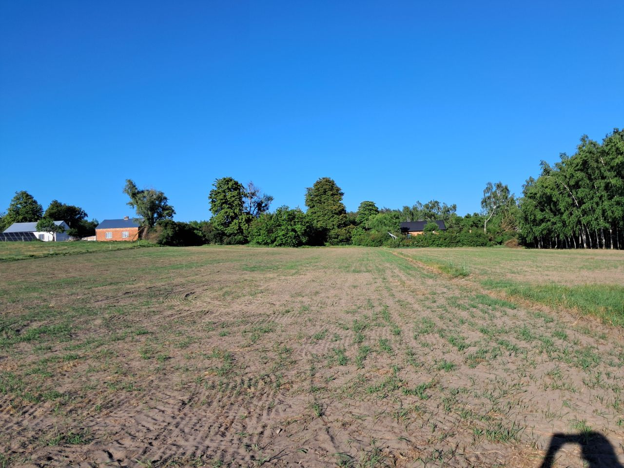 siedlisko Ignacewo. Zdjęcie 7