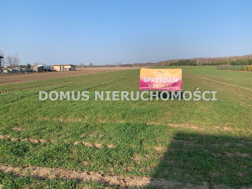 Działka budowlana Złotniki. Zdjęcie 4