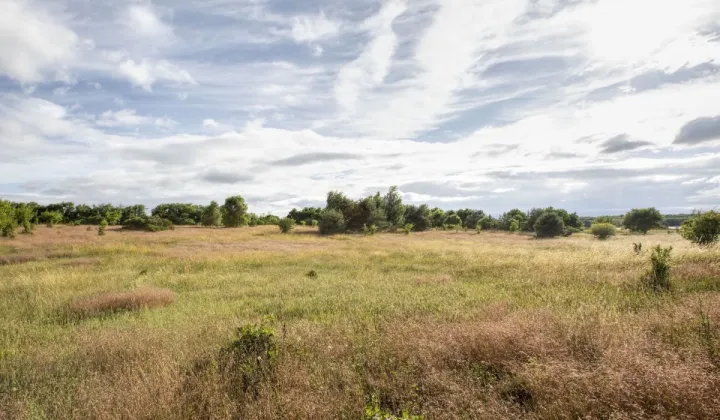 Działka budowlana Sarbsk