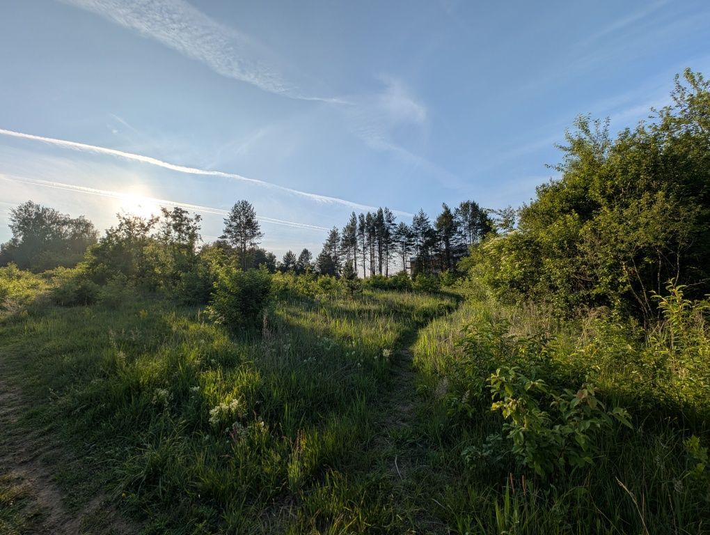 Działka inwestycyjna Wasilków, ul. Cisowa