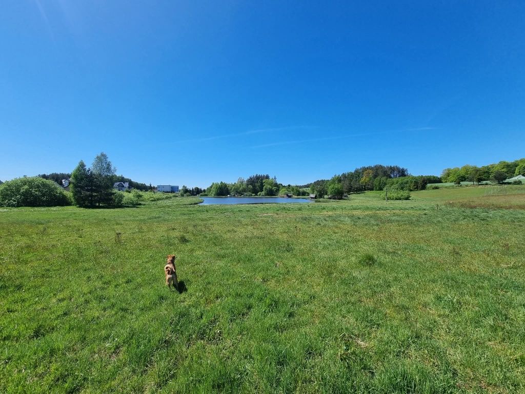 Działka budowlana Egiertowo. Zdjęcie 5