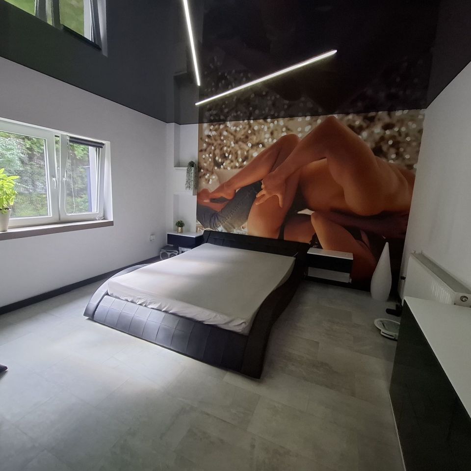 dom wolnostojący Jastrzębie-Zdrój. Zdjęcie 3