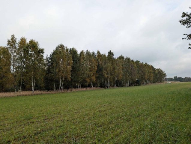 Działka rolna Strzałków. Zdjęcie 2
