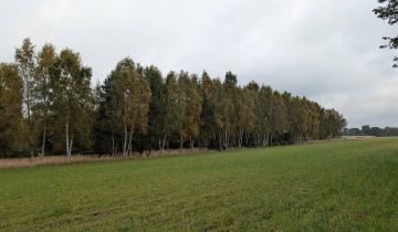 Działka rolna Strzałków