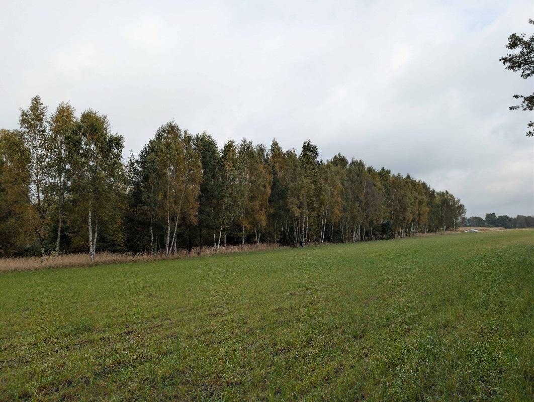 Działka rolna Strzałków. Zdjęcie 2